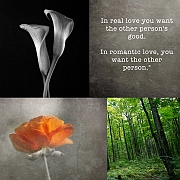 Wall_Art_Alphabet_Photography_Art_ 2624